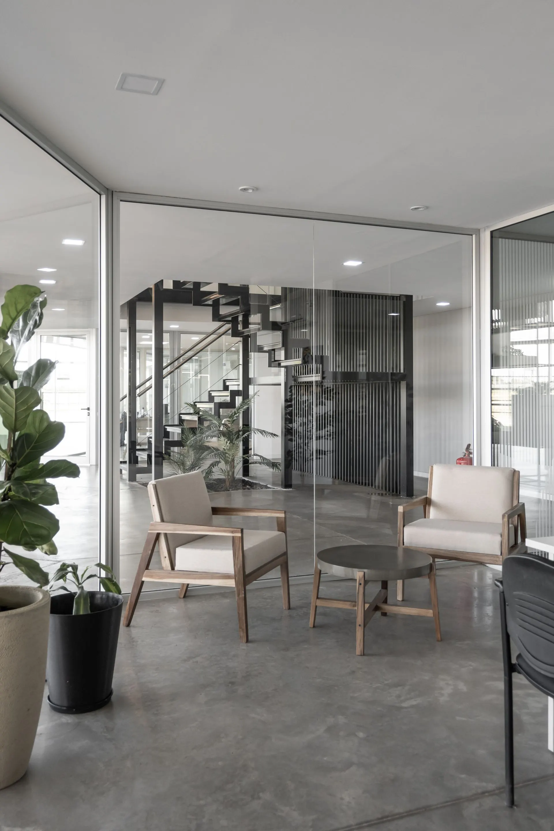 Oficinas Corporativas Grupo Criolani — foto 6