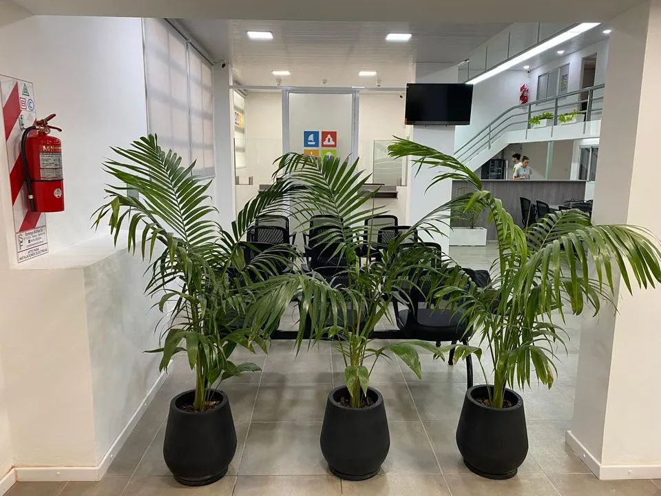 Remodelación Cortada Biosca — foto 9
